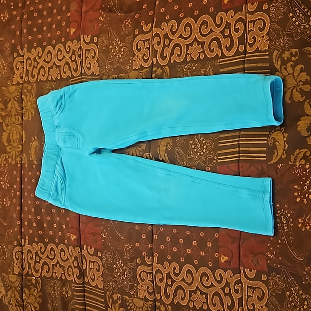 Teal pants with back pockets